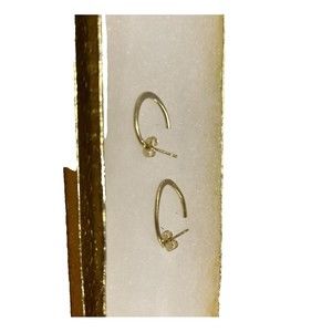 Titanium Gold Women Earrings